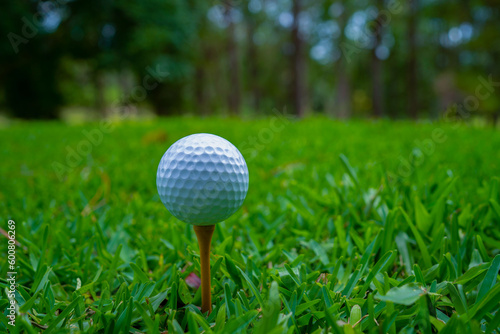 Golf ball on tee in beautiful golf course at sunset background.