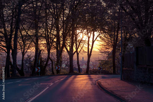 Ein wunderschöner Sonnenaufgang über Bielefeld: Die Sonne strahlt durch die Bäume hindurch auf die leere Straße und taucht die Szene in buntes Licht