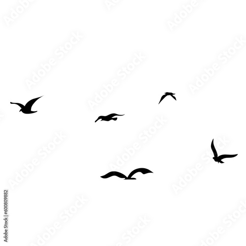 silhouette Flock of Flying Birds