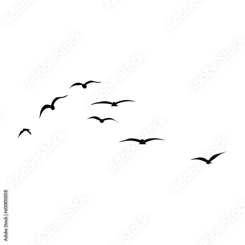silhouette Flock of Flying Birds © P4ramours