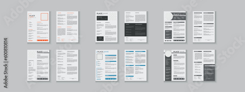 Resume bundle collections, unique vector mega cv set template, 2 pages cv layout or resume design with mockup