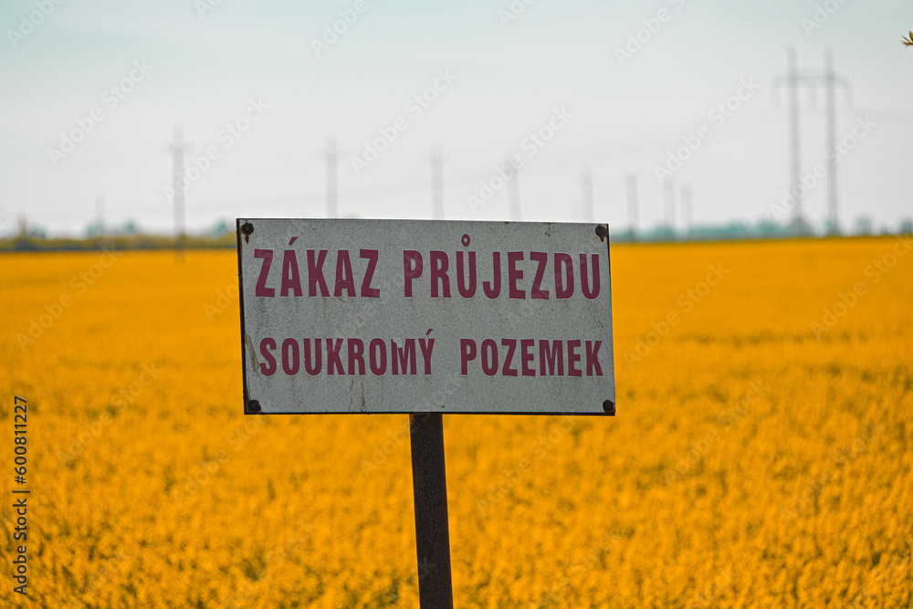 Obraz premium no parking sign