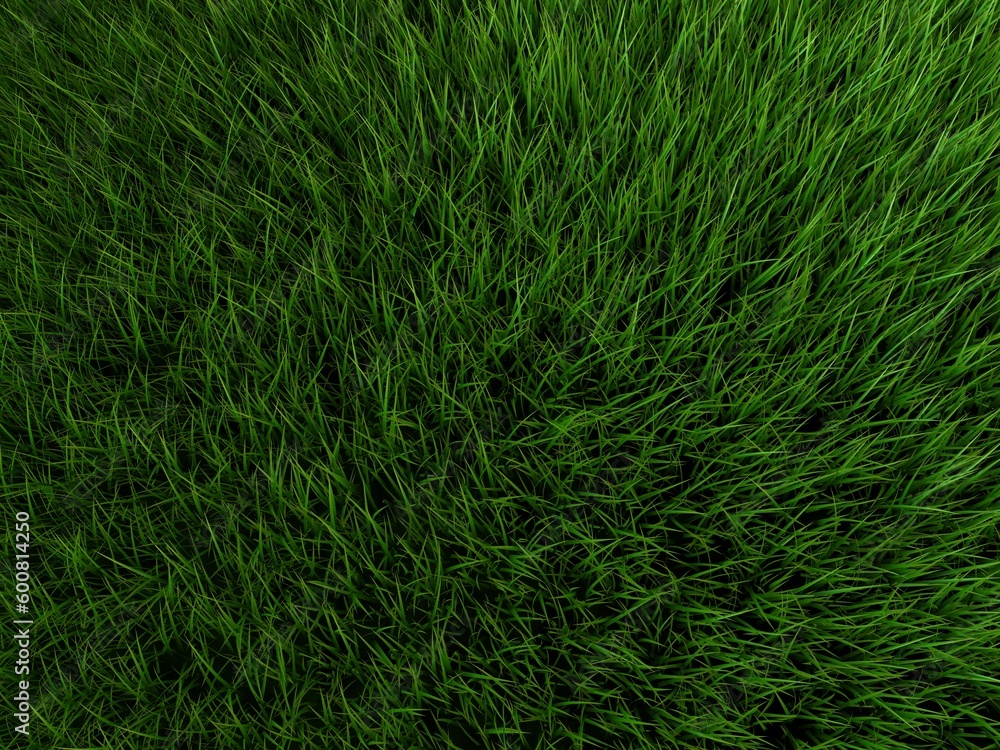 Fototapeta premium 3 rendered illustration of a green grass field