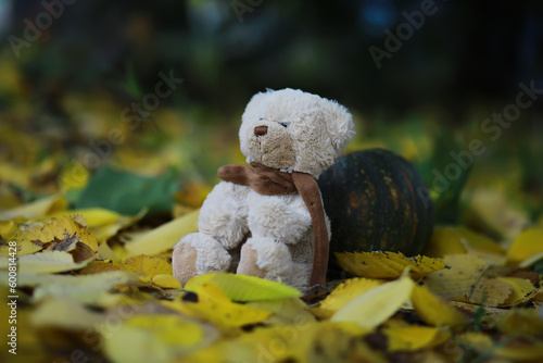 Adorable brown stuffed toy teddy bear with yellow maple leaf on head sits on dry orange leaves pile on ground in autumn park on nice sunny day close view. back to school concept.