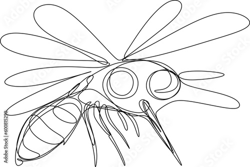 One line art. one continuous line art of a mosquito