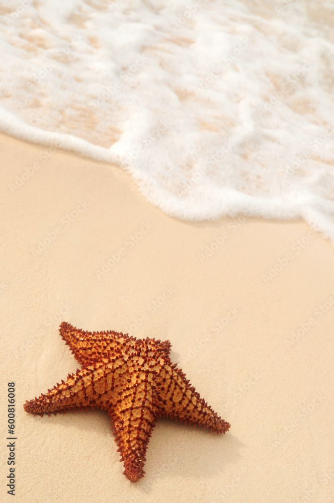 Starfish and ocean wave on sandy tropical beach Starfish and ocean wave on sandy tropical beach