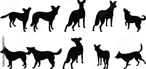 silhouettes of animals  Dog Silhouette Vectors for Your Creative Projects