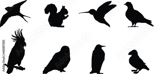 set of silhouettes of birds