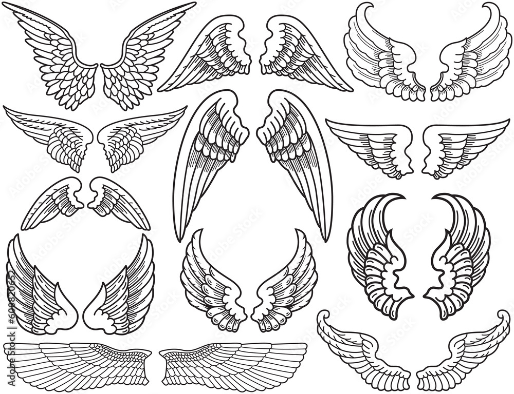 Twelve Sets of Black and White Angel Wings