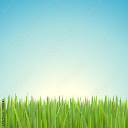 Clear blue sky with green grass.