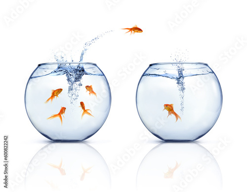 A goldfishes jumping out of fishbowl to other fishbowl. White background.