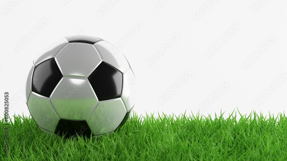 Soccer ball on green grass. 3d-rendering