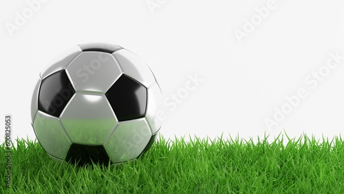 Soccer ball on green grass. 3d-rendering