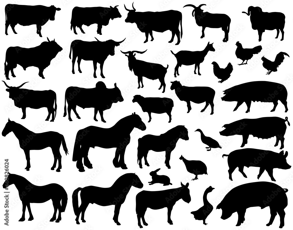 Vector silhouettes of various livestock animals