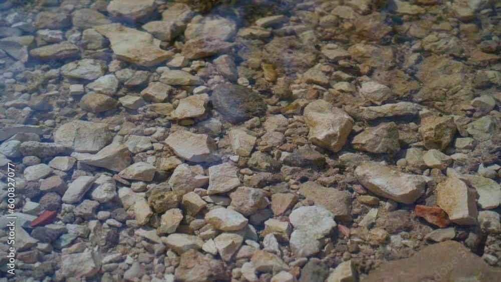 Top down view of the seabed covered with pebbles. Waves of sea water sway and reflect the sun's rays. Marine abstract background. The concept of tourism, summer vacation. Top down view of the seabed covered with pebbles. Waves of sea water sway and reflect the sun's rays. Marine abstract background. The concept of tourism, summer vacation.