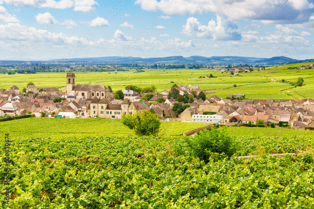 Vineyards and Pommard village, Burgundy in France.