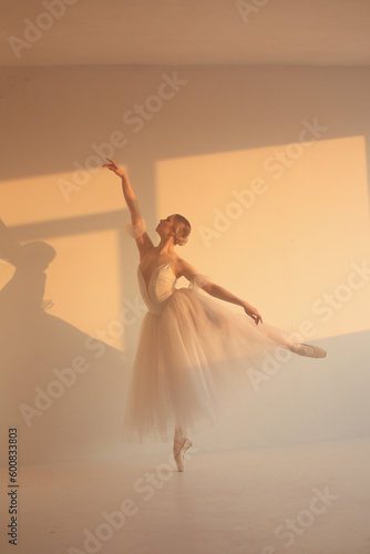 Professional ballerina dancing ballet.Ballerina in a white dress and pointe shoes. White background, sunlight. © Yaroslav