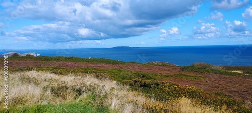 Canvas Print mountain with flower with view of the sea
