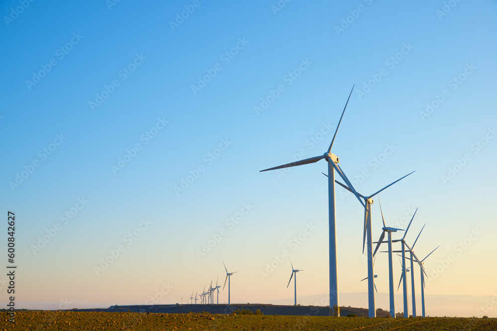 Wind turbine generators for alternative electricity production