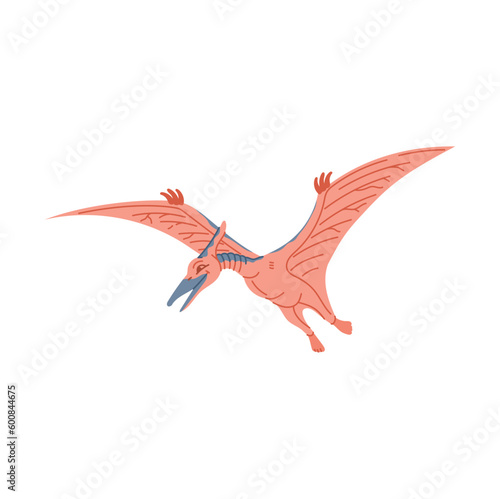 Pterodactyl cartoon dinosaur in flight, cartoon dino bird animal. Vector pteranodon pterodactyl, ancient pterosaur flying reptile, prehistoric dino