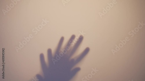 Silhouette of a beautiful sexy girl performing seductive body movements. Shadows and silhouettes of hands on a white background. The shadow of the girl through the glass.