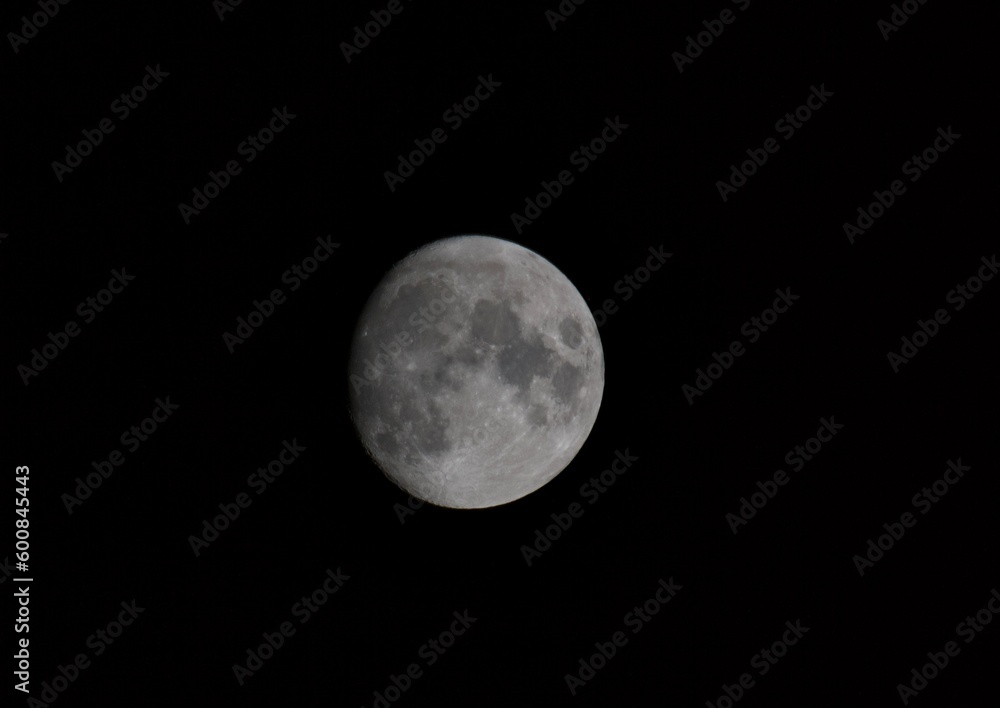 Moonlight Moonlight