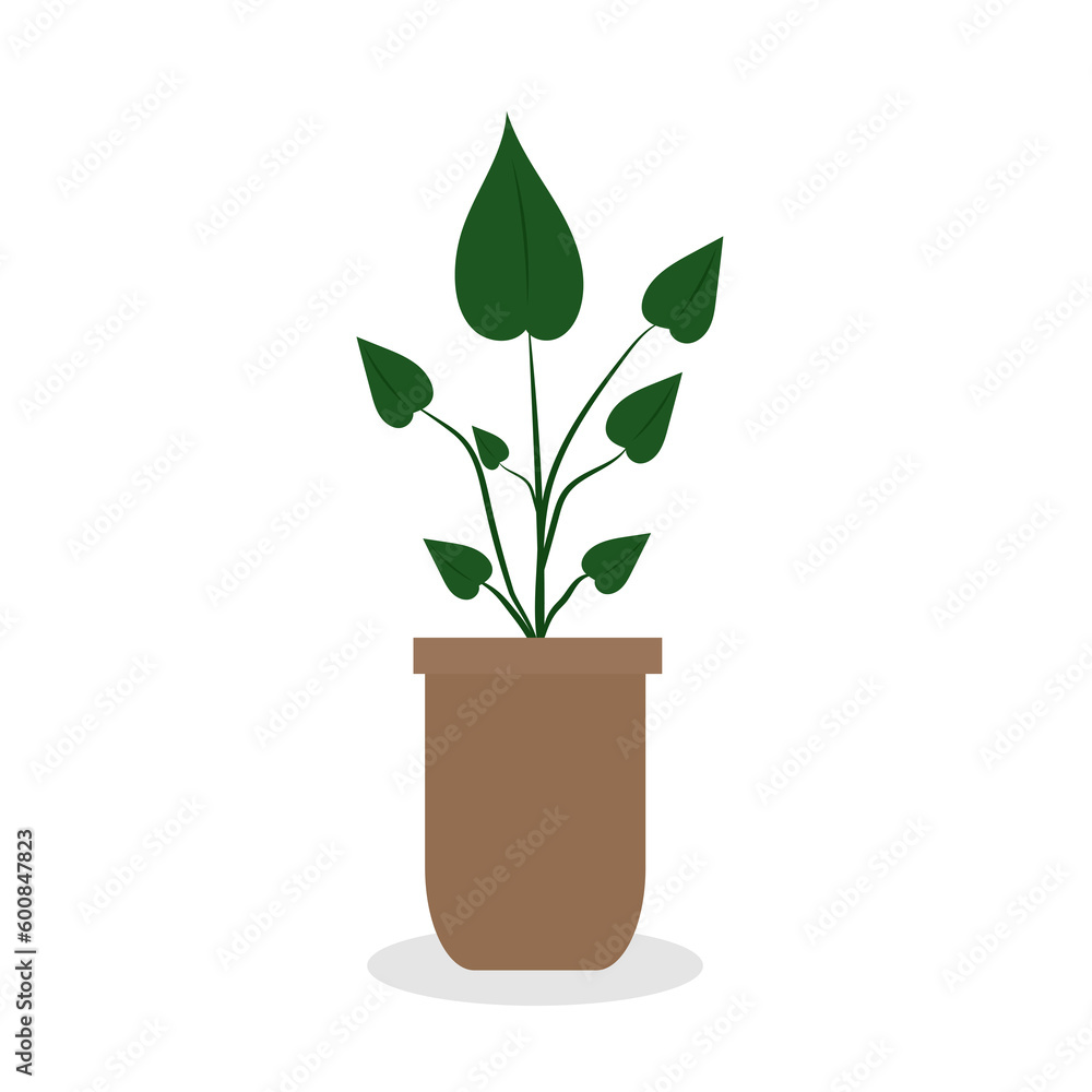 Home plant in pot, cute flat cartoon illustration. Home plant in pot, cute flat cartoon illustration.
