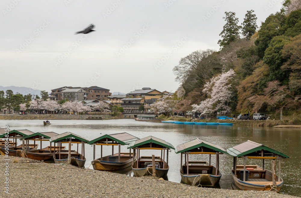 Boats on Katsura River in the Beautiful Kameyama Park in Arashiyama, Kyoto, Japan