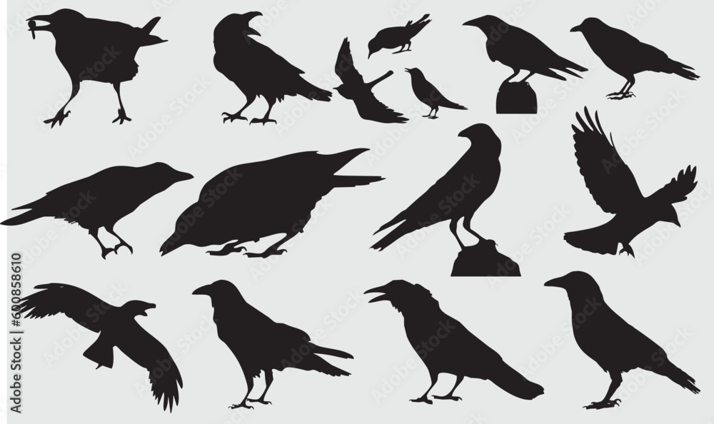 Obraz premium Crow silhouette with various expressions Vector illustration