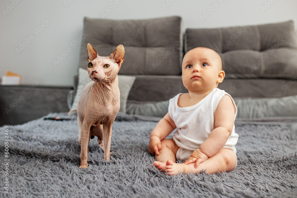 Little cute baby sits next to cat sphinx on bed in cozy home setting. Concept of pets and family. Little cute baby sits next to cat sphinx on bed in cozy home setting. Concept of pets and family.