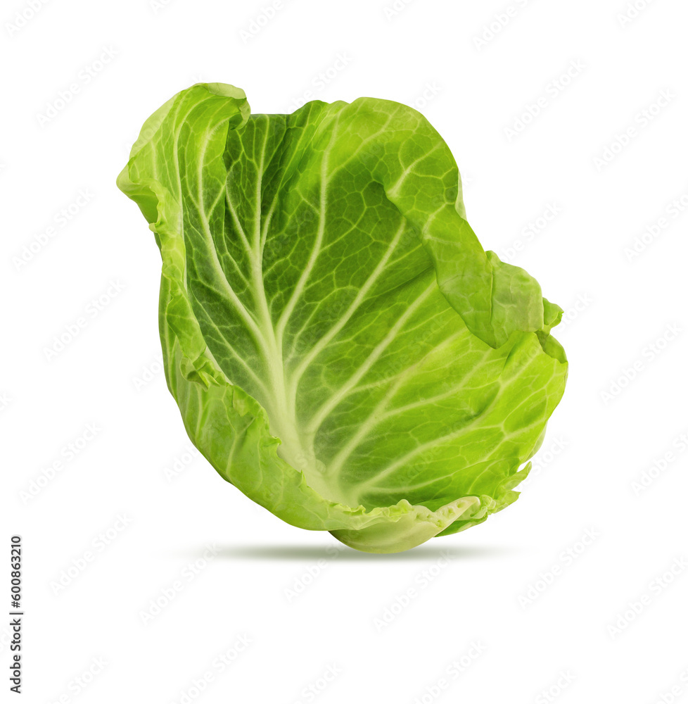 Cabbage isolated on white background with clipping path Cabbage isolated on white background with clipping path