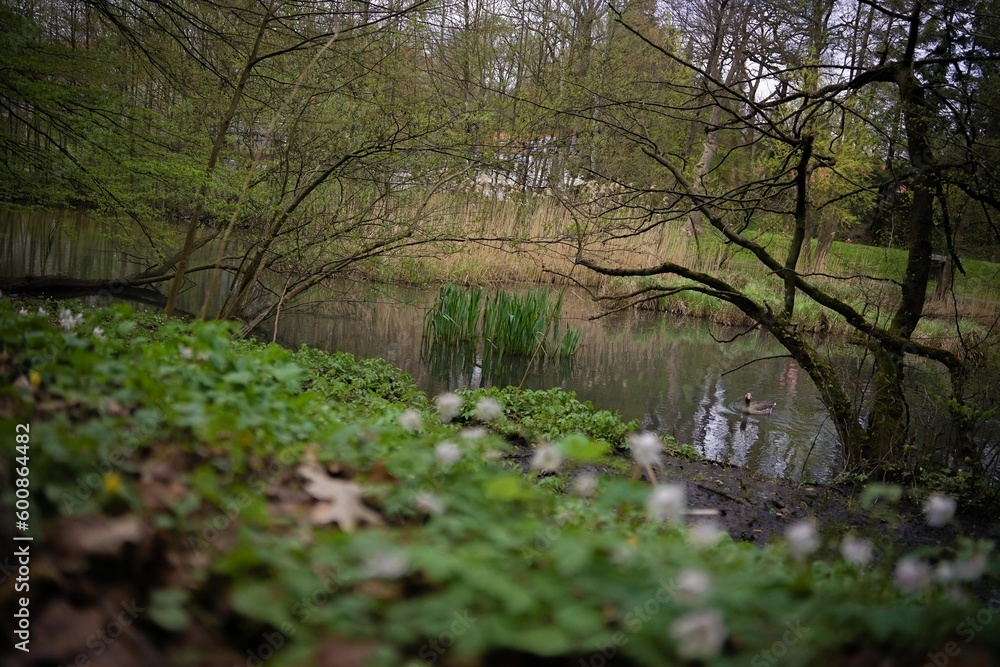 Fototapeta premium Nahaufnahmen