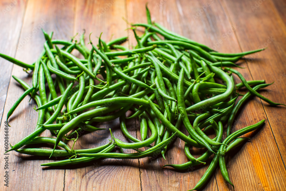 Bean harvest collected in the garden. Plantation work. Autumn harvest and healthy organic food concept close up with selective focus Bean harvest collected in the garden. Plantation work. Autumn harvest and healthy organic food concept close up with selective focus