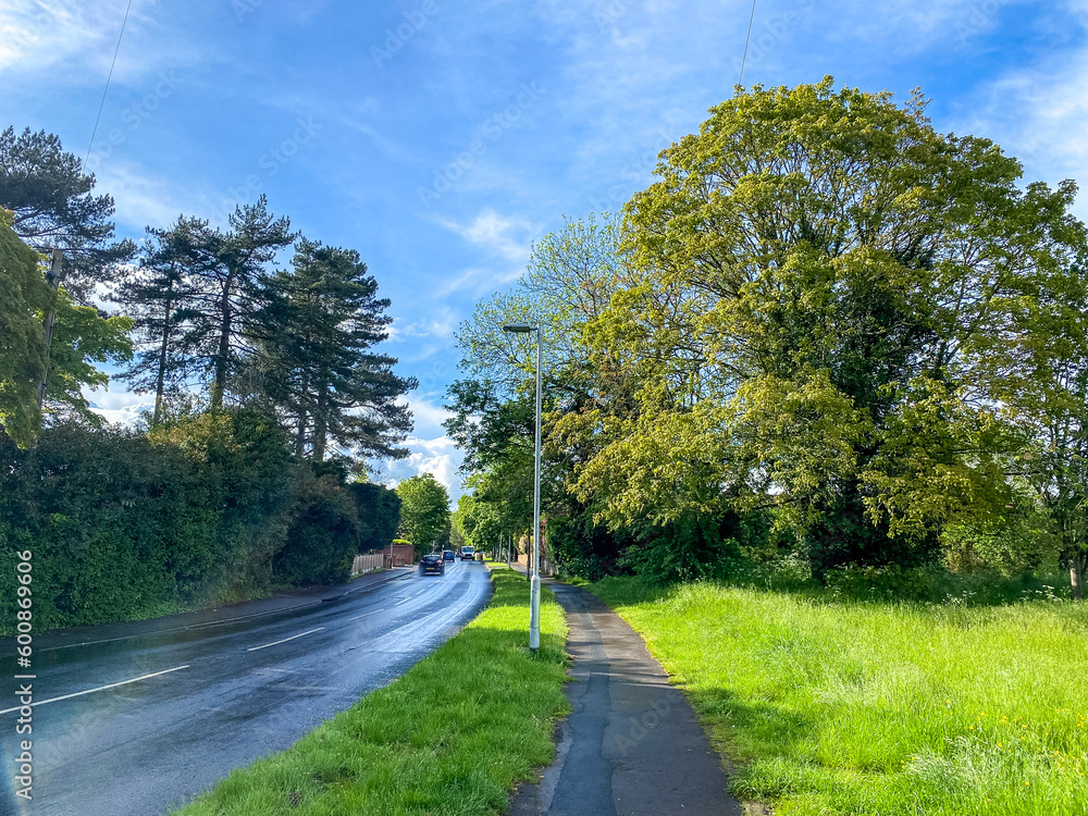 A view along a footpath next to a road with trees and green grass