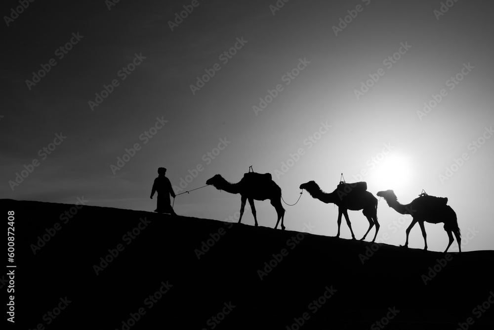 Sunrise silhouette of camels and handler, Merzouga