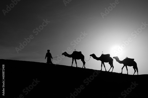 Sunrise silhouette of camels and handler  Merzouga
