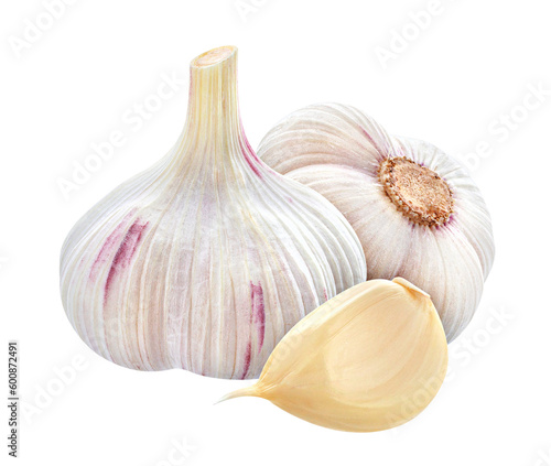 garlic with png background photo