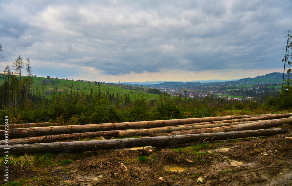 A pile of stacked wood in witow, near Zakopane, Poland A pile of stacked wood in witow, near Zakopane, Poland