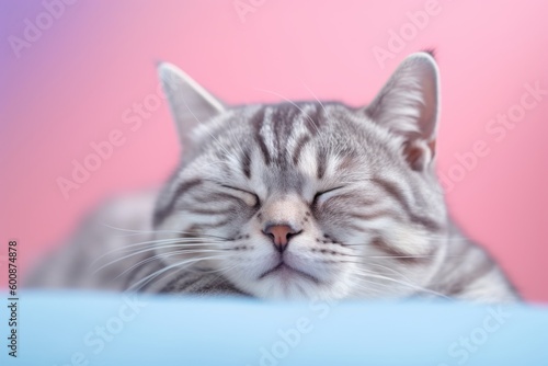 Medium shot portrait photography of a curious american shorthair cat sleeping against a pastel or soft colors background. With generative AI technology