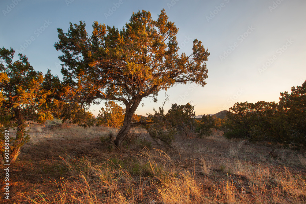 Fototapeta premium A scenic view of high desert landscape in Santa Fe, New Mexico.