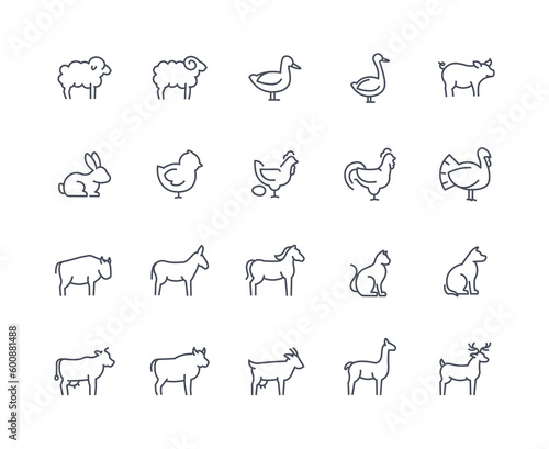 Obraz na płótnie Domestic animals icons outline set