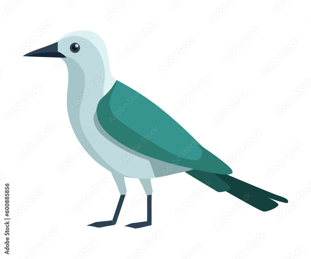 Obraz premium Bird seagull on white background