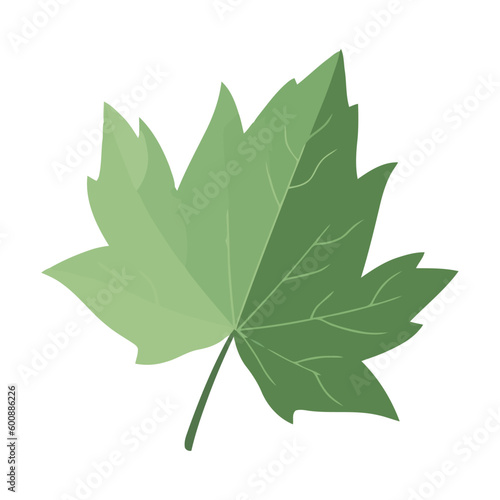 Organic growth symbolized by leaf