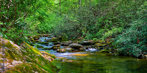 Curtis Creek near Curtis Creek Campground in the Pisgah National Forest North Carolina.