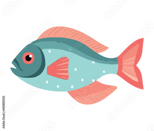 Aquatic fish swimming underwater
