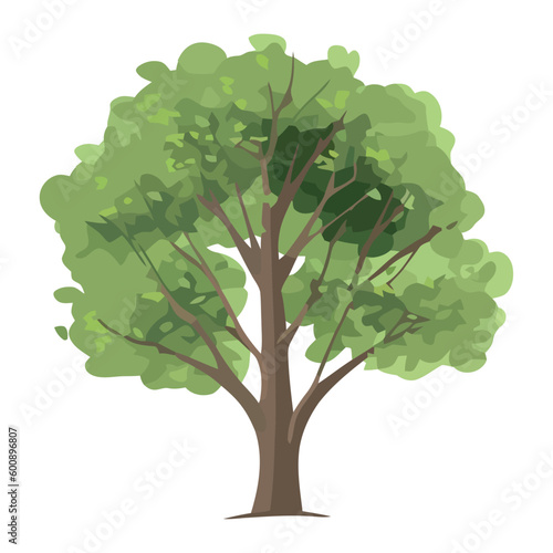 Tree growth and environmental conservation
