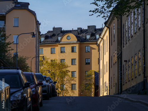 Wallpaper Mural old town street Torontodigital.ca