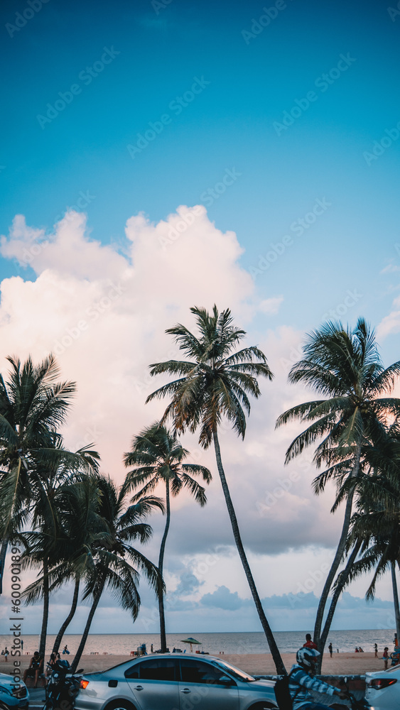 Orla de uma praia movimentada com coqueiros