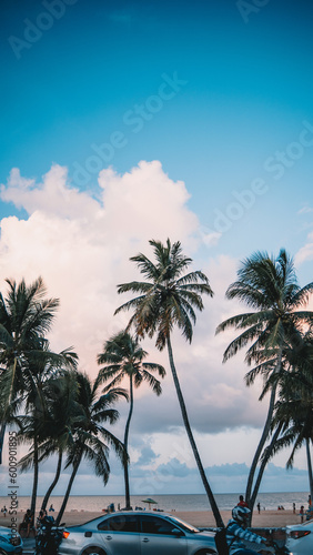 Orla de uma praia movimentada com coqueiros © DanielKenji