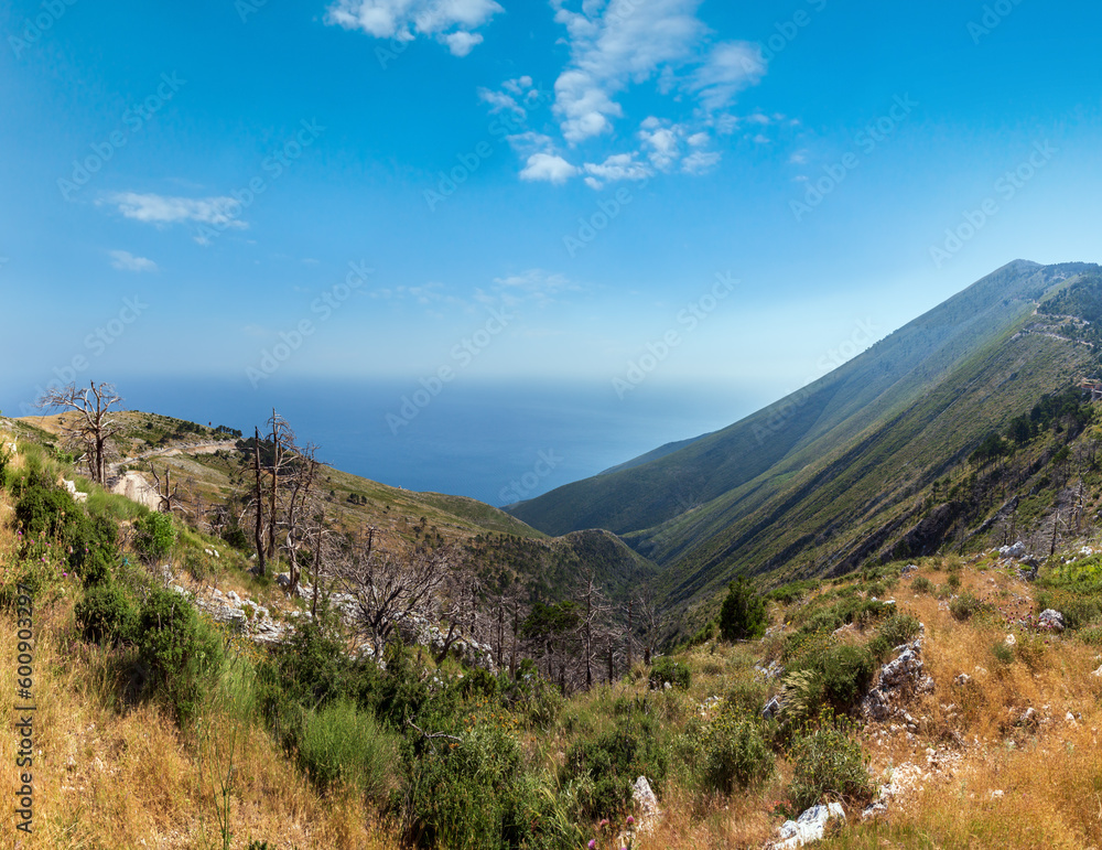 Summer Llogara pass view with dry trees and thistle on slope (Albania) Summer Llogara pass view with dry trees and thistle on slope (Albania)